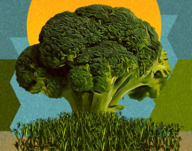 GOLIATH Gears Up for Expo AgroAlimentaria Guanajuato and YugAgro
