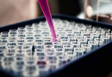 5 Practical Steps to Verify FDA Compliance When Selecting API Raw Material Suppliers
